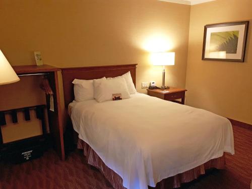The Water Tower Inn, BW Premier Collection Room Type - Accessible Room - 1 Double Bed