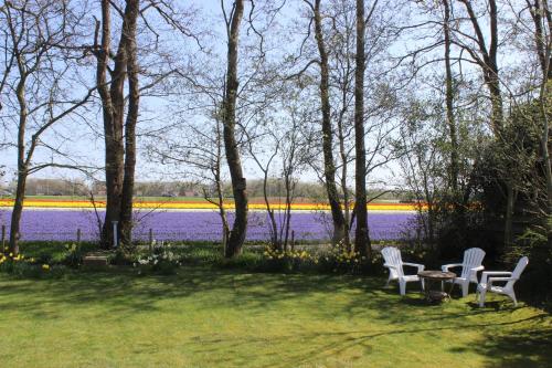 Uitzicht, Vakantiehuis aan zee in Schagen