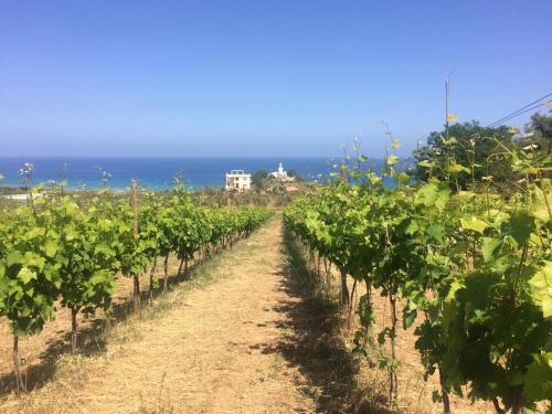  Agriturismo 'A Lanterna in Marina di Monasterace