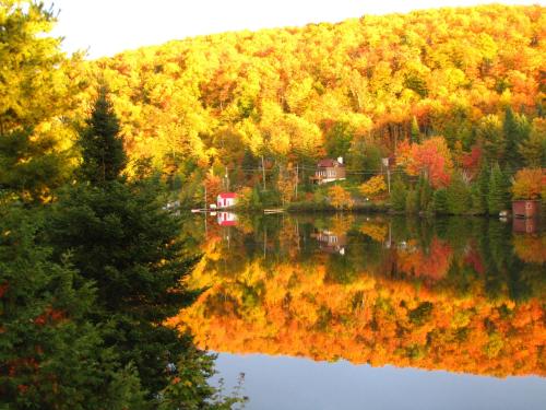 Gîte Vita Bella B&B (Gite Vita Bella B&B) in Seintadolfa Dovarda (QC)