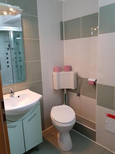 Hotel Floare de Colt in Sibiu City Center