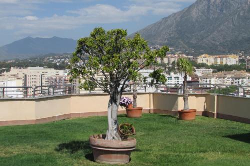 Apartamento Marbella Playa Av Nabeul