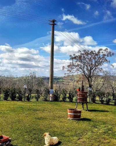 Casa di Campagna - Accommodation - Pancole