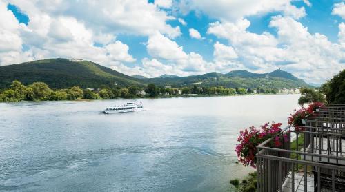 Ringhotel Rheinhotel Dreesen - image 13