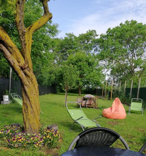 Zucchero sui Baffi- Food Lovers B&B 4