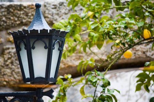 Paço 100 Pressa - image 14