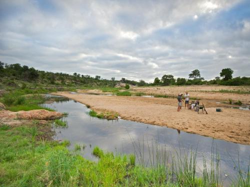 Makumu Private Game Lodge Makumu Private Game Lodge