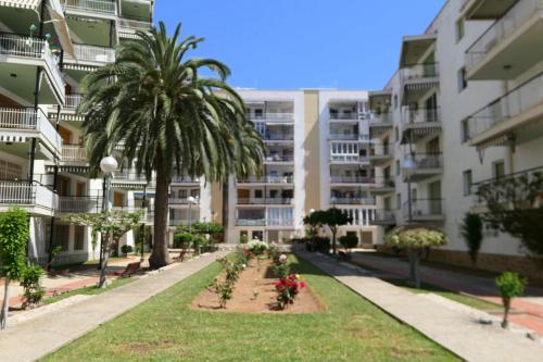 Rentalmar Aries Plus - image 13