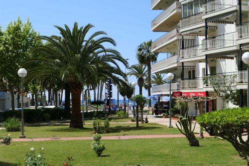 Rentalmar Aries Plus - image 8