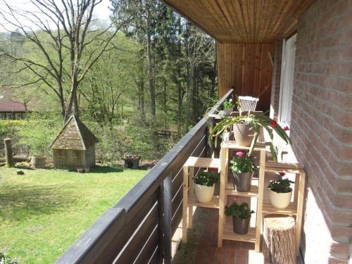 Balkons/terase, Waldblick in Schmilau