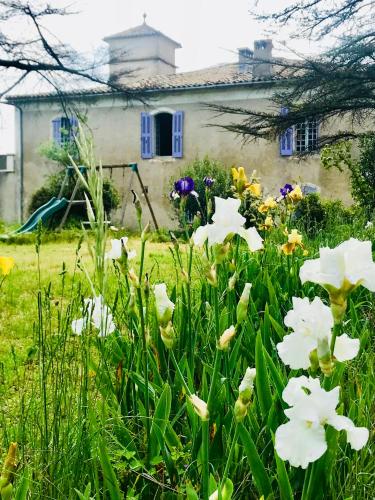 Studio with Garden View