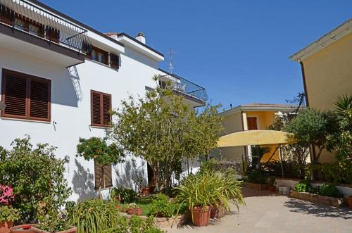 Home Balloon, Santa Maria Navarrese (Foto 10)