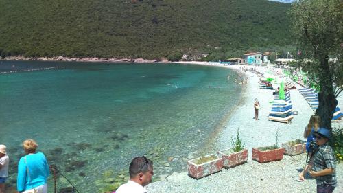 Apartmani Jovanovic - image 3