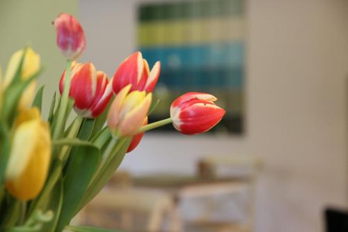 The Little Guesthouse - image 26