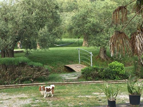 Le Coccole Del Trasimeno