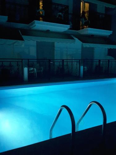 Hotel Alexandra - image 2