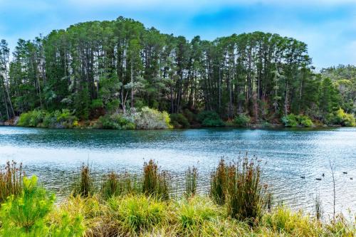 The Sebel Creswick Forest Resort