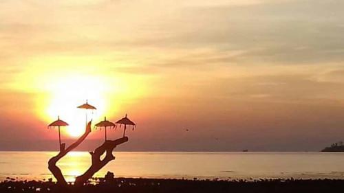 ชายหาด, ปอนด็อก ราฮายู เกสต์เฮาส์ เปมูเตอรัน (Pondok Rahayu Guest House Pemuteran) in เพมูเทอราน