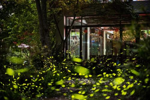 Zunanjost, Maple map B&B in Okrožje Dahu