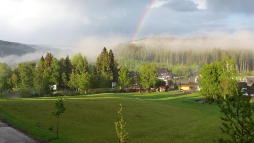 Schwarzwald-Chalet Feldberg - image 11