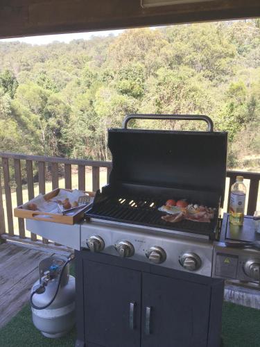 Blackwattle at Barrington Tops