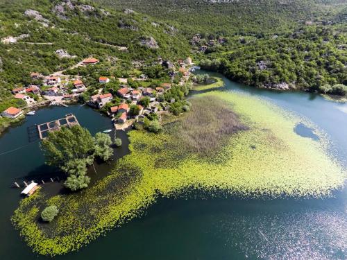 Villa Skadar Lake - image 4