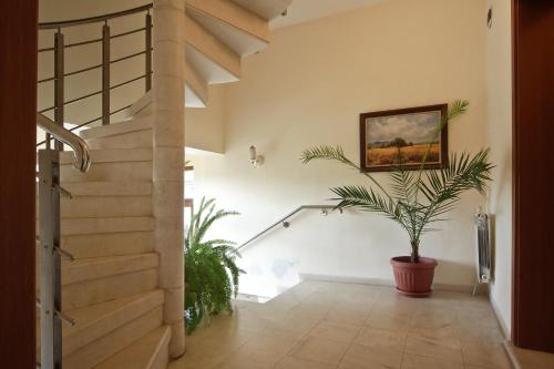 Anita House - image 6
