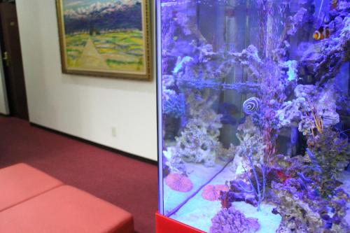 Business Hotel Raicho - 출입구