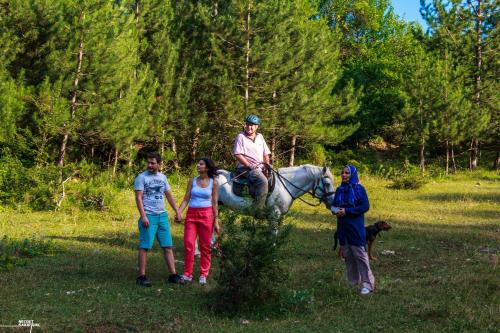  Nesilce Tatil Köyü in Mengen