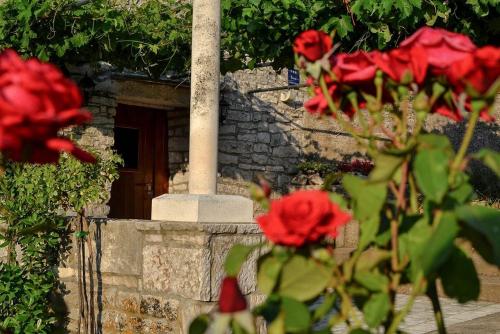 Mario (RADE), Korčula (Curzola) (foto 5)