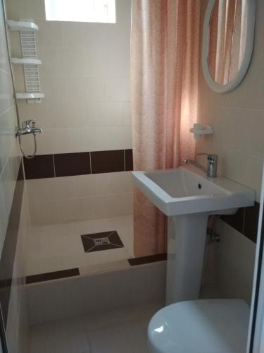 Guest House Tortuga - image 2