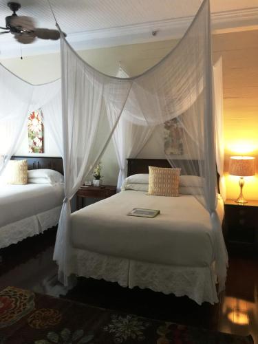 Avalon Bed and Breakfast - image 5