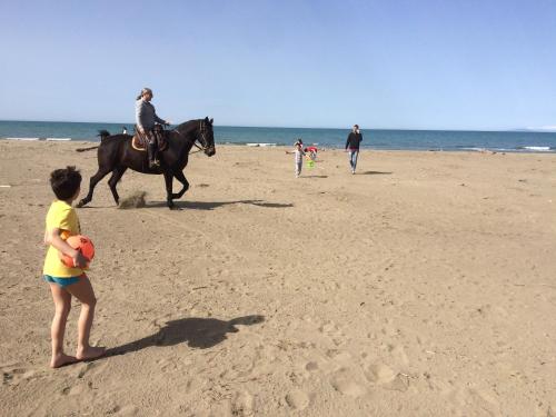 Appartamento al Mare gîte à louer Pianetto