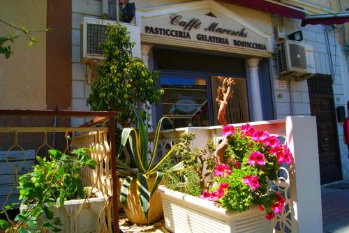 B&B Oleaster - Bolognetta