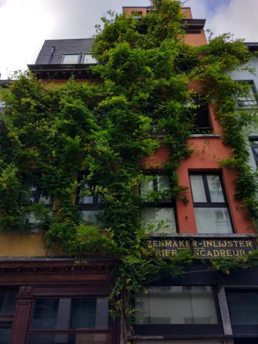  Treehouse in Antwerpen