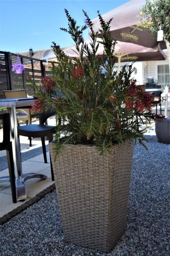 Hotel Maurice - image 11