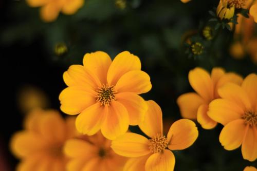 Gästehaus Possard in Stams