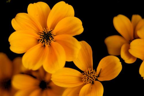 Gästehaus Possard in Stams