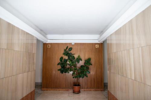 Il Magnificus Boutique - image 11