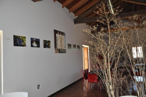 Carrecalzada in พาเลนเซีย