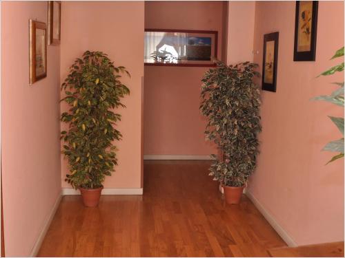 Gialel B&B - main image