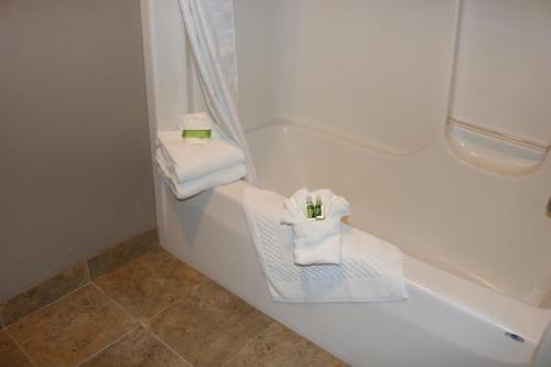 Qube Hotel - Polk City - image 2
