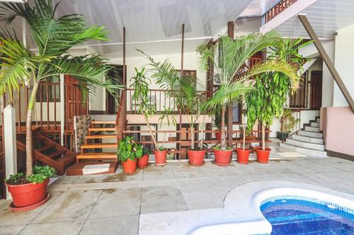 Garden, Hotel Flor Blanca in Quepos