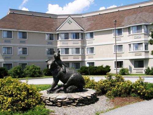 Black Bear Inn & Event Center - Hotel - Orono