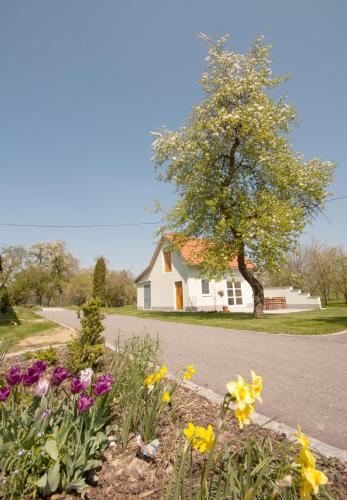 Landhaus Essl