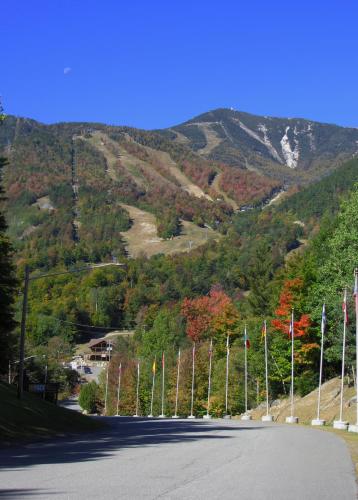 Cascade Mountain Chalet - image 5