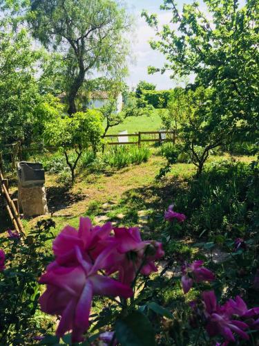 Casa Vacanze Fattoria Pozzitello