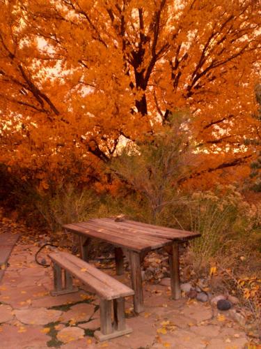 銀江阿朵比住宿加早餐旅館 (Silver River Adobe Inn Bed and Breakfast) in 法明頓市中心