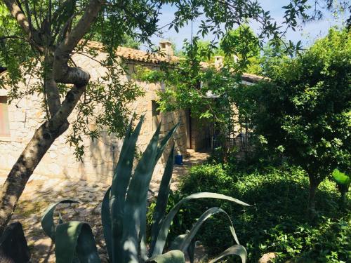 Casa Vacanze Fattoria Pozzitello - image 3