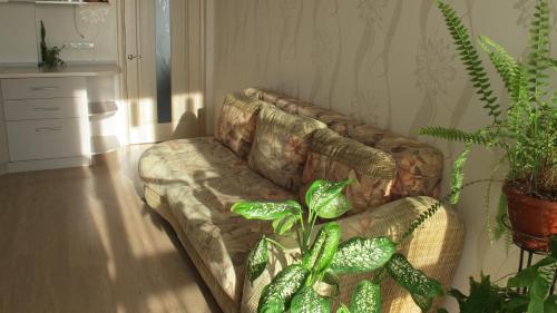 Apartment Ostrova - main image